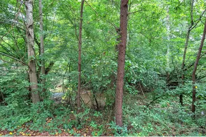 346 Thorn Creek Way, Dallas, GA 30157 - Photo 50