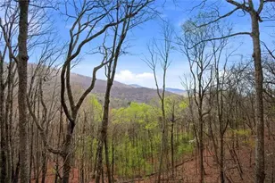 511 Hickory Trail, Jasper, GA 30143 - Photo 74