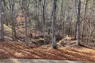 5123 Yellow Creek Rd, Ball Ground, GA 30107 - Photo 28