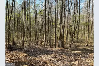 262 White Creek Loop, Rockmart, GA 30153 - Photo 4