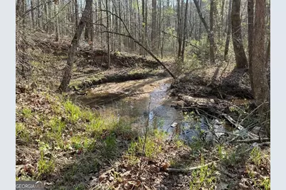 262 White Creek Loop, Rockmart, GA 30153 - Photo 8