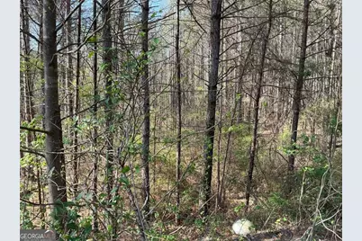 262 White Creek Loop, Rockmart, GA 30153 - Photo 2