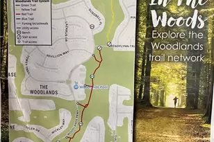 220 Revillion Way, Woodstock, GA 30188 - Photo 32