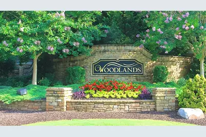 220 Revillion Way, Woodstock, GA 30188 - Photo 30