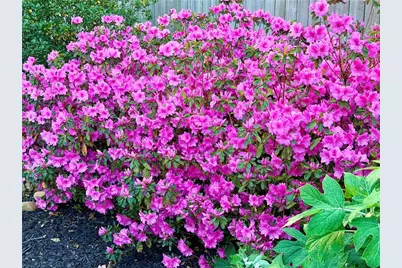 3420 Chattahoochee Road, Cumming, GA 30041 - Photo 76