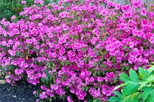 3420 Chattahoochee Rd, Cumming, GA 30041 - Photo 76