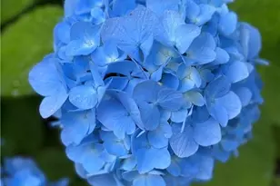 3420 Chattahoochee Rd, Cumming, GA 30041 - Photo 68