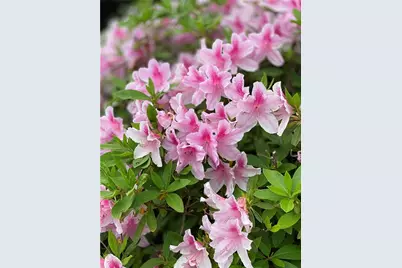 3420 Chattahoochee Road, Cumming, GA 30041 - Photo 64