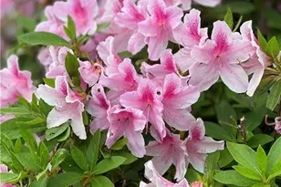 3420 Chattahoochee Rd, Cumming, GA 30041 - Photo 64