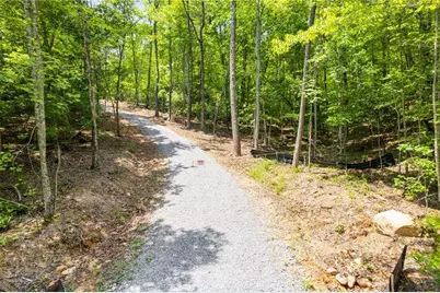 0 Possum Poke #29 Road, Ellijay, GA 30536 - Photo 6