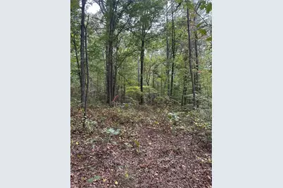 3842 Salacoa-Tract A, Waleska, GA 30183 - Photo 2