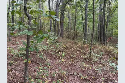 3834 Salacoa-Tract B, Waleska, GA 30183 - Photo 12