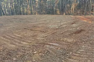 3834 Salacoa-Tract B, Waleska, GA 30183 - Photo 1