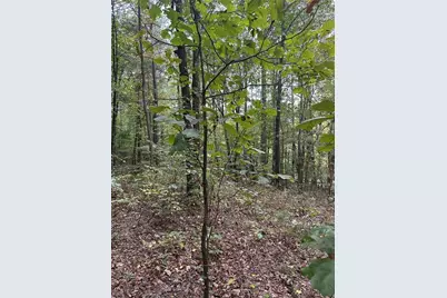 3834 Salacoa-Tract B, Waleska, GA 30183 - Photo 10