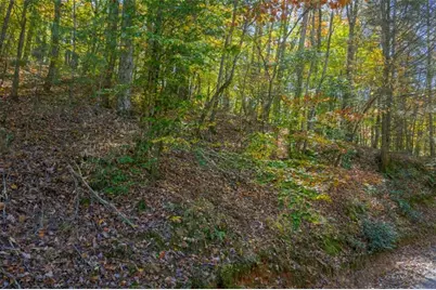 N/A Willard Mountain Road, Ellijay, GA 30513 - Photo 8