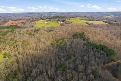 099012 Martin Road, Talmo, GA 30575 - Photo 38