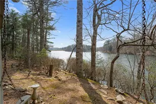 66 Tamarack Point, Jasper, GA 30143 - Photo 72