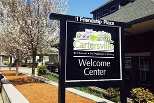 508 Ozark Ln, Cartersville, GA 30120 - Photo 48