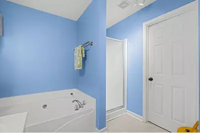 218 Amaranth Court, Ball Ground, GA 30107 - Photo 22