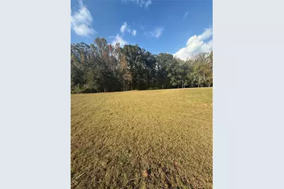 230 River Meadow Lane, Social Circle, GA 30025 - Photo 2