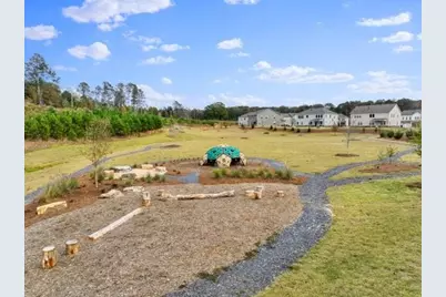 8935 Avonbrook Close, Ball Ground, GA 30107 - Photo 42