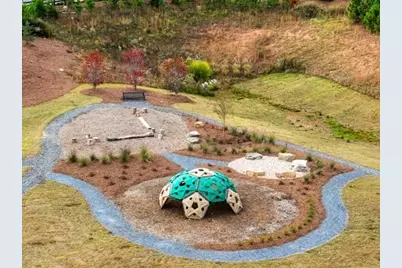 8935 Avonbrook Close, Ball Ground, GA 30107 - Photo 40