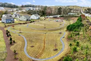 8935 Avonbrook Close, Ball Ground, GA 30107 - Photo 46