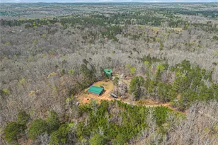 9150 W Banks Mill Rd, Winston, GA 30187 - Photo 40