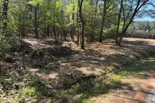 84 Popham Road Tract 1, Taylorsville, GA 30178 - Photo 1