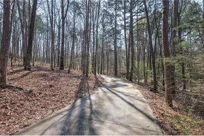 8381 Highway 100, Buchanan, GA 30113 - Photo 52