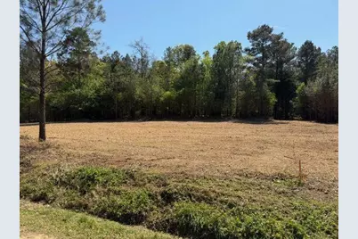 84 Popham Road Tract 2, Taylorsville, GA 30178 - Photo 1