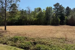 84 Popham Road Tract 2, Taylorsville, GA 30178 - Photo 1
