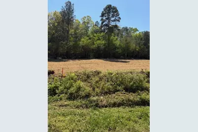 84 Popham Road Tract 2, Taylorsville, GA 30178 - Photo 2