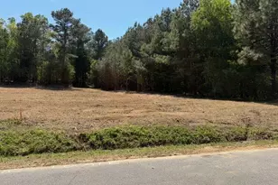 84 Popham Road Tract 3, Taylorsville, GA 30178 - Photo 1