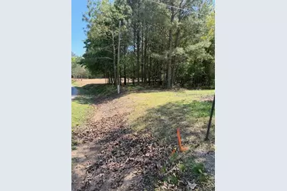 84 Popham Road Tract 3, Taylorsville, GA 30178 - Photo 2