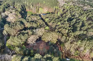 3230 Steadman, Tallapoosa, GA 30176 - Photo 44