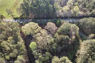 3230 Steadman, Tallapoosa, GA 30176 - Photo 46