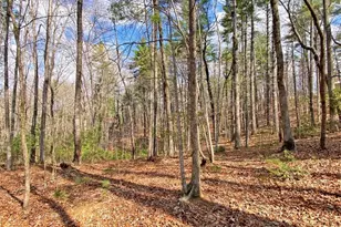 40 Bartram Trail, Dahlonega, GA 30533 - Photo 44