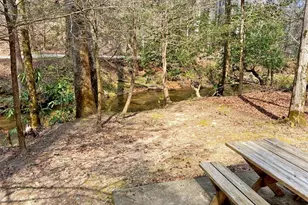 40 Bartram Trail, Dahlonega, GA 30533 - Photo 56