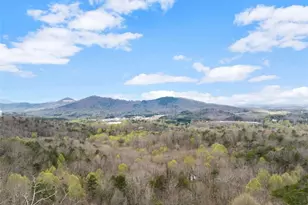 777 Oak Pointe Dr, Cleveland, GA 30528 - Photo 16