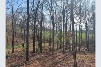 643 Old Ridge Road, Demorest, GA 30535 - Photo 4