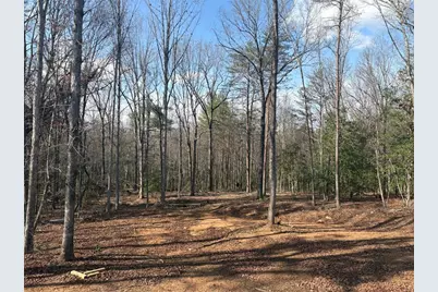 643 Old Ridge Road, Demorest, GA 30535 - Photo 20