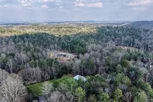 399 Pack Creek Rd, Blue Ridge, GA 30513 - Photo 48