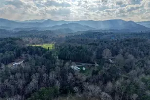 399 Pack Creek Rd, Blue Ridge, GA 30513 - Photo 52