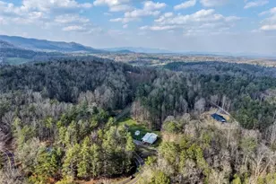 399 Pack Creek Rd, Blue Ridge, GA 30513 - Photo 52