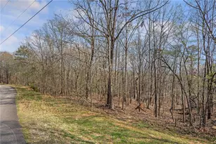 5234 Laurel Ln, Gainesville, GA 30506 - Photo 44