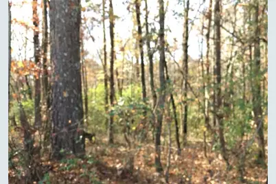 0 E Midland Avenue, Winder, GA 30680 - Photo 1