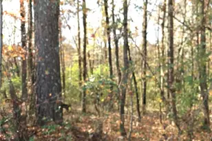 0 E Midland Ave, Winder, GA 30680 - Photo 1