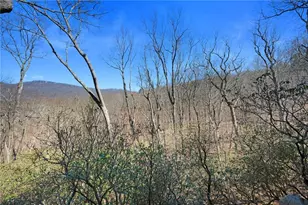316 Tea Berry Ln, Big Canoe, GA 30143 - Photo 2