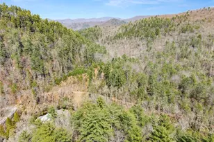 7880 Hiawassee Wilderness Trail, Hiawassee, GA 30546 - Photo 74